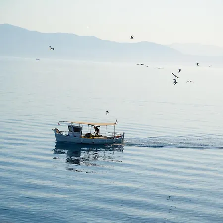 Kefalonia 가이오스